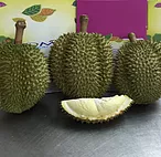 Durian